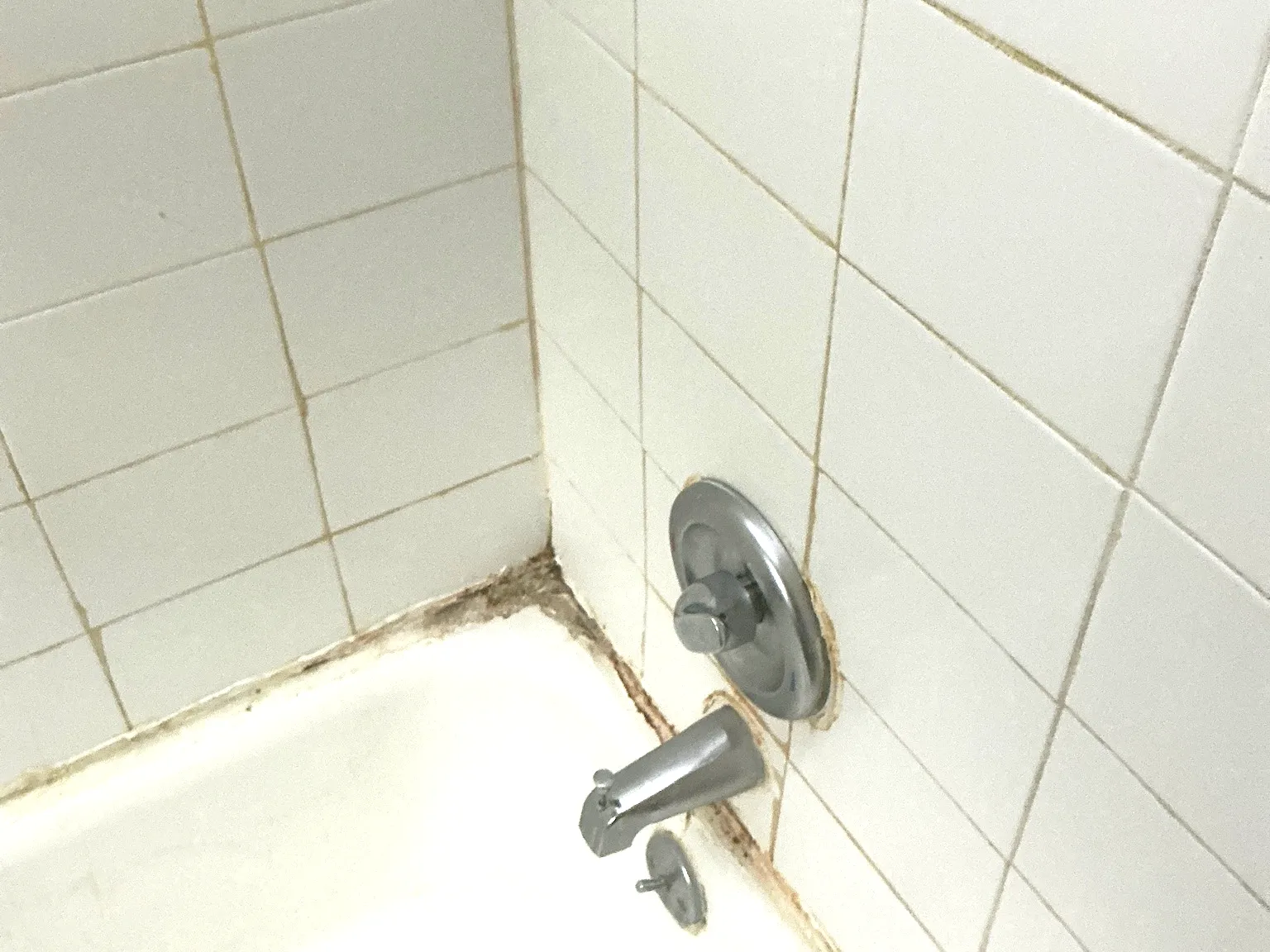 Mold found during a home inspection in Warren.