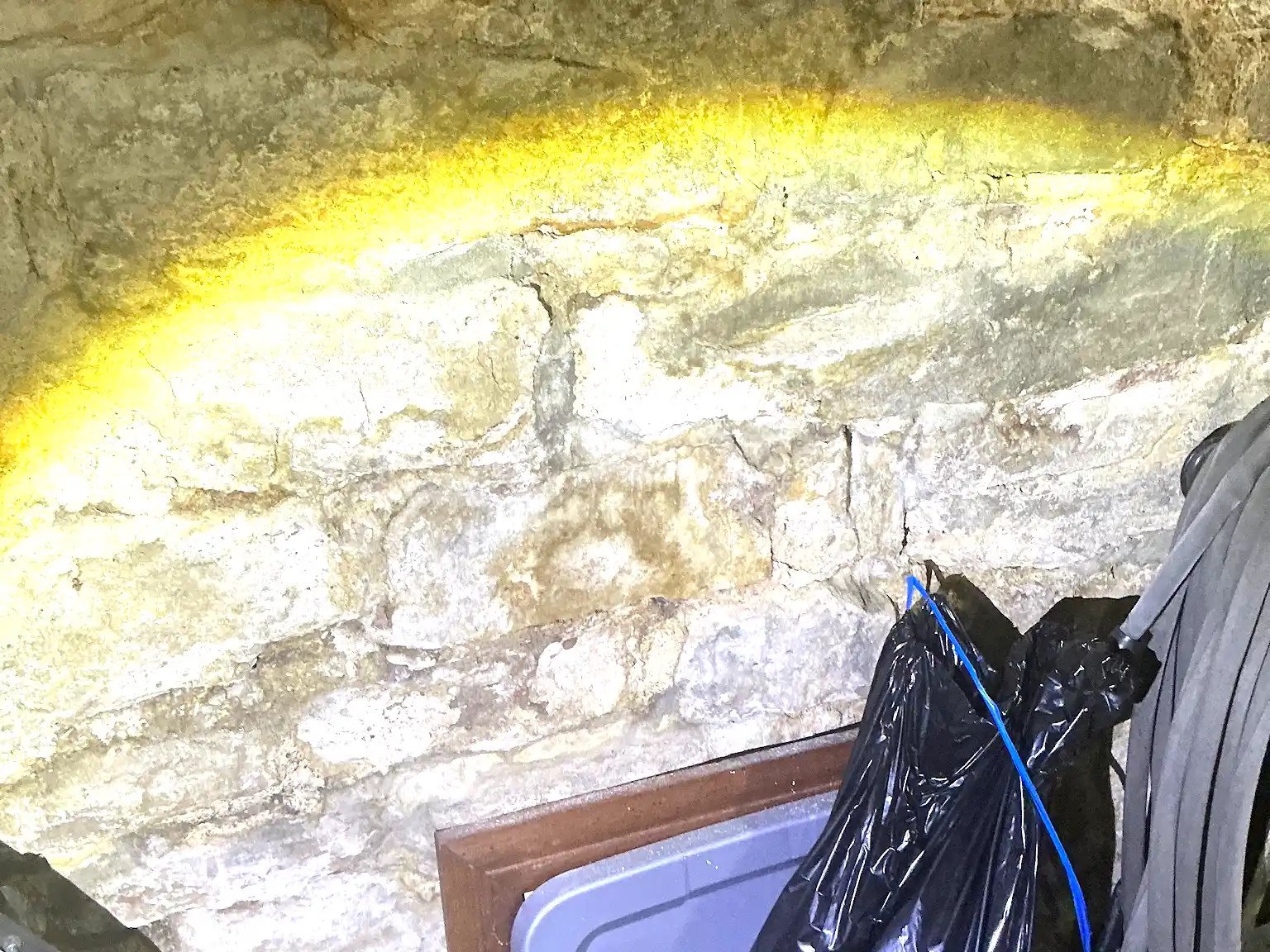 Look at what our mold inspector found in Warrensville Heights..