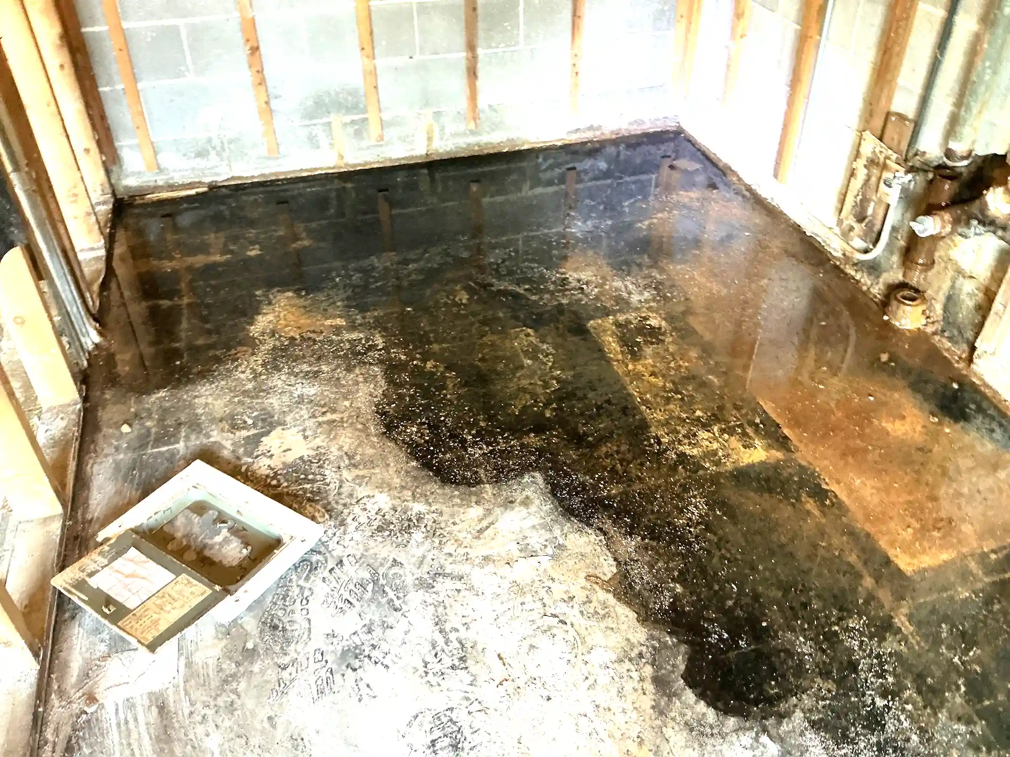 Mold inspection in Warrensville Heights.