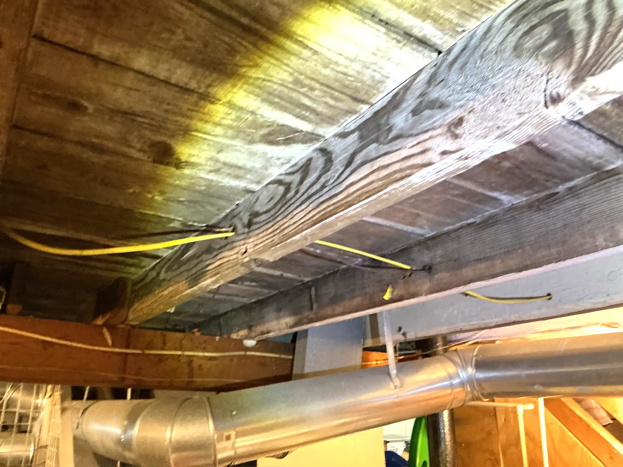 Mold found during a commercial mold inspection in Warrensville Heights.