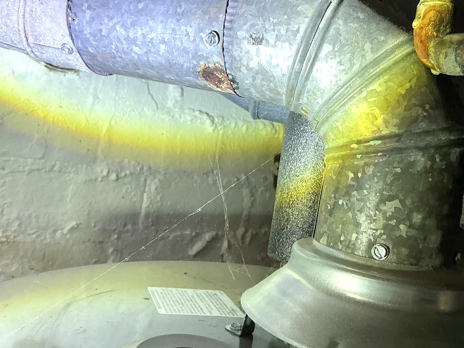 Look at what our mold inspector found in West Hill..