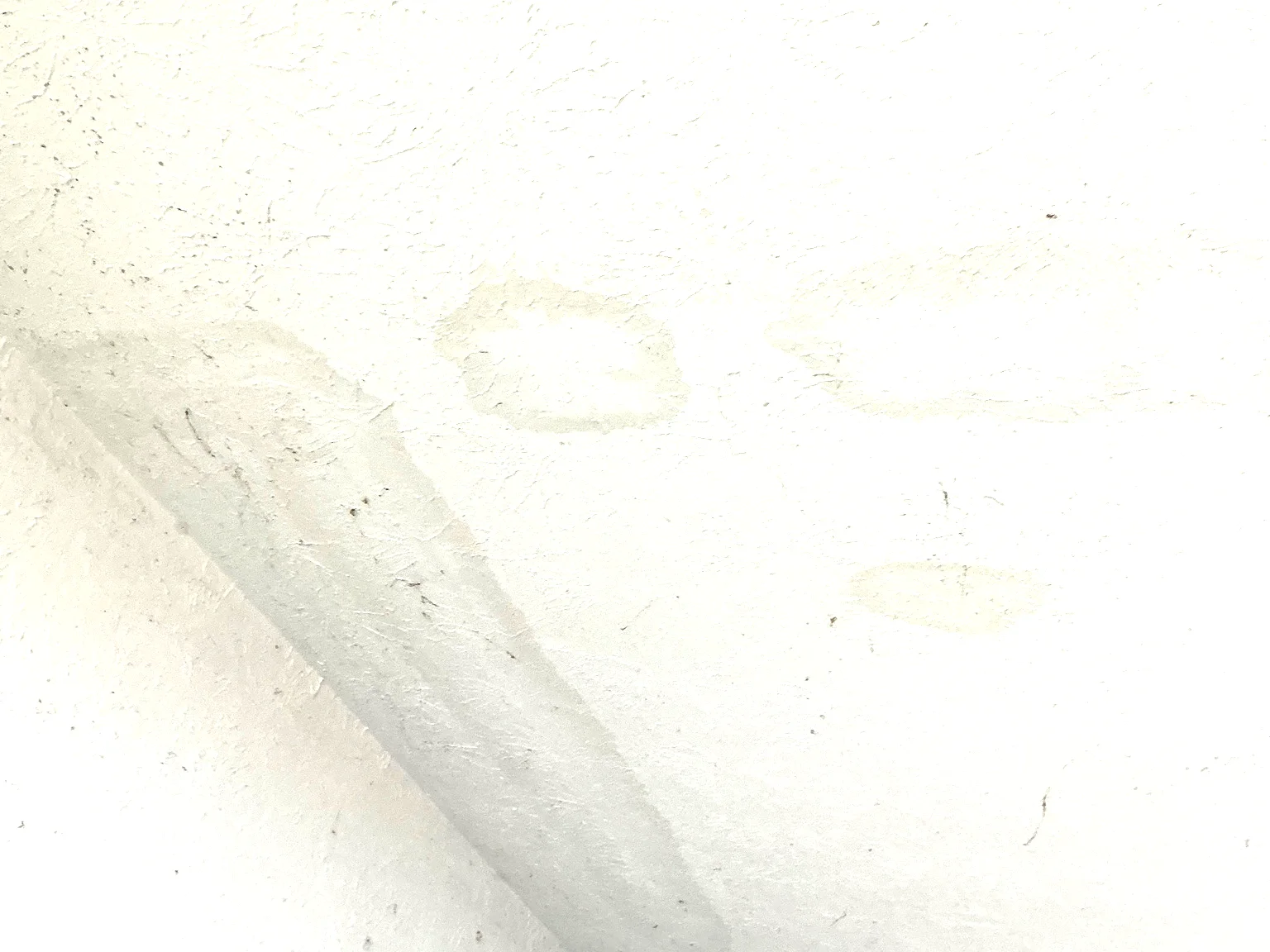 Mold found on a surface during an inspection in West Hill.