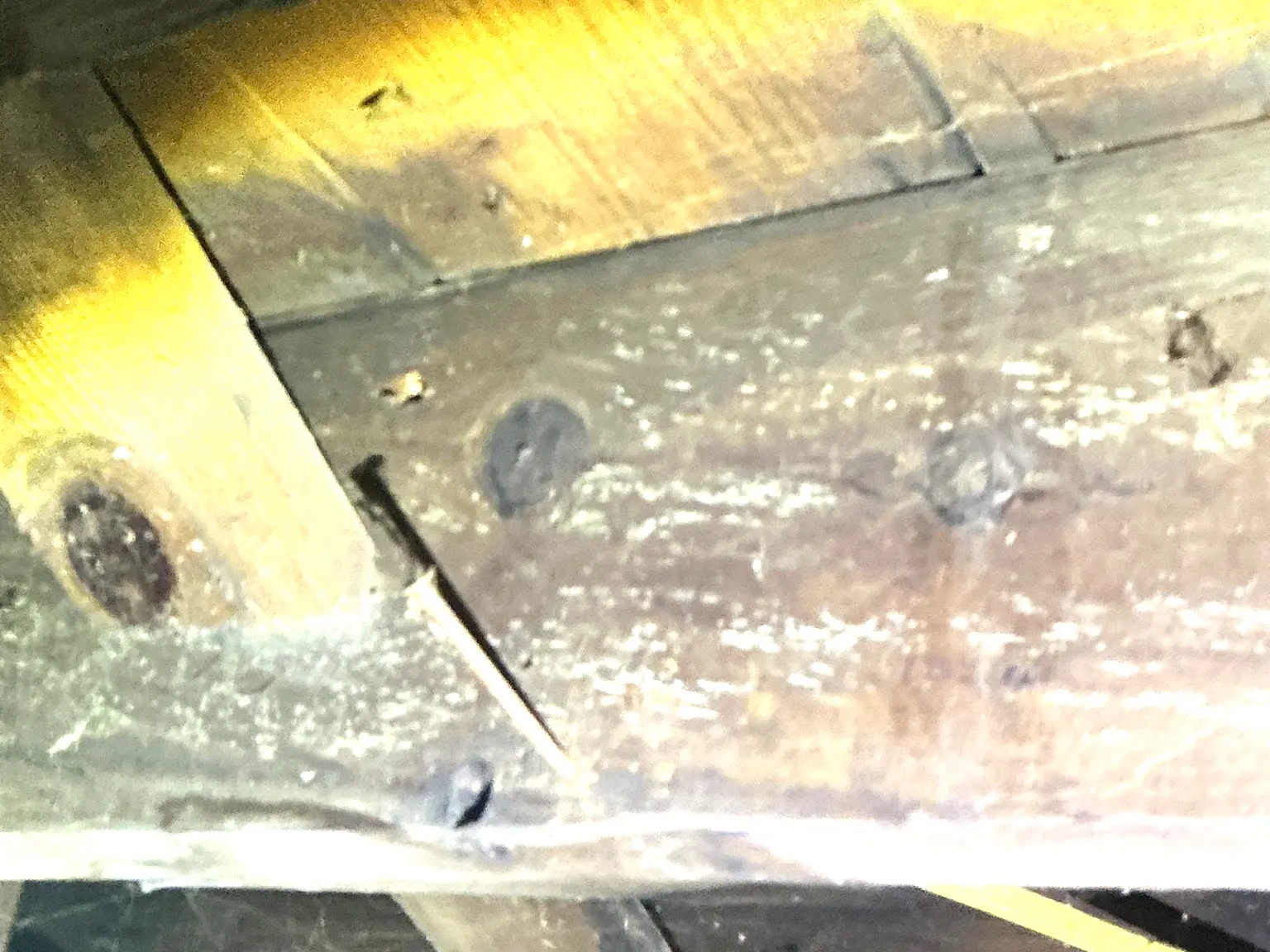 Mold found during a commercial mold inspection in West Hill.