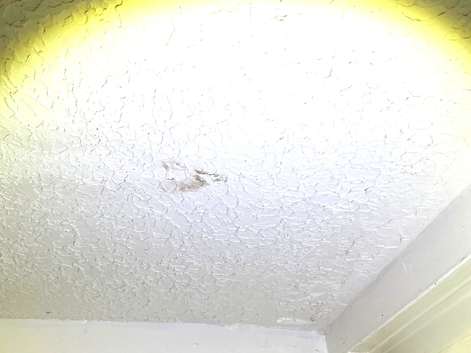 Our mold inspector found this surface mold in Westlake.