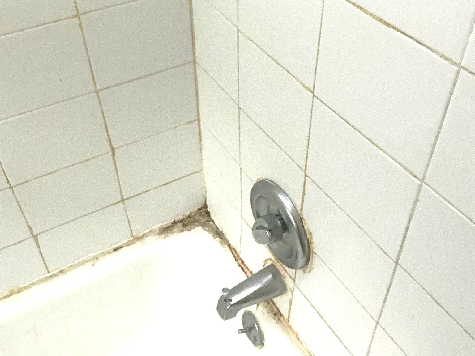 Mold found during a home inspection in Westlake.