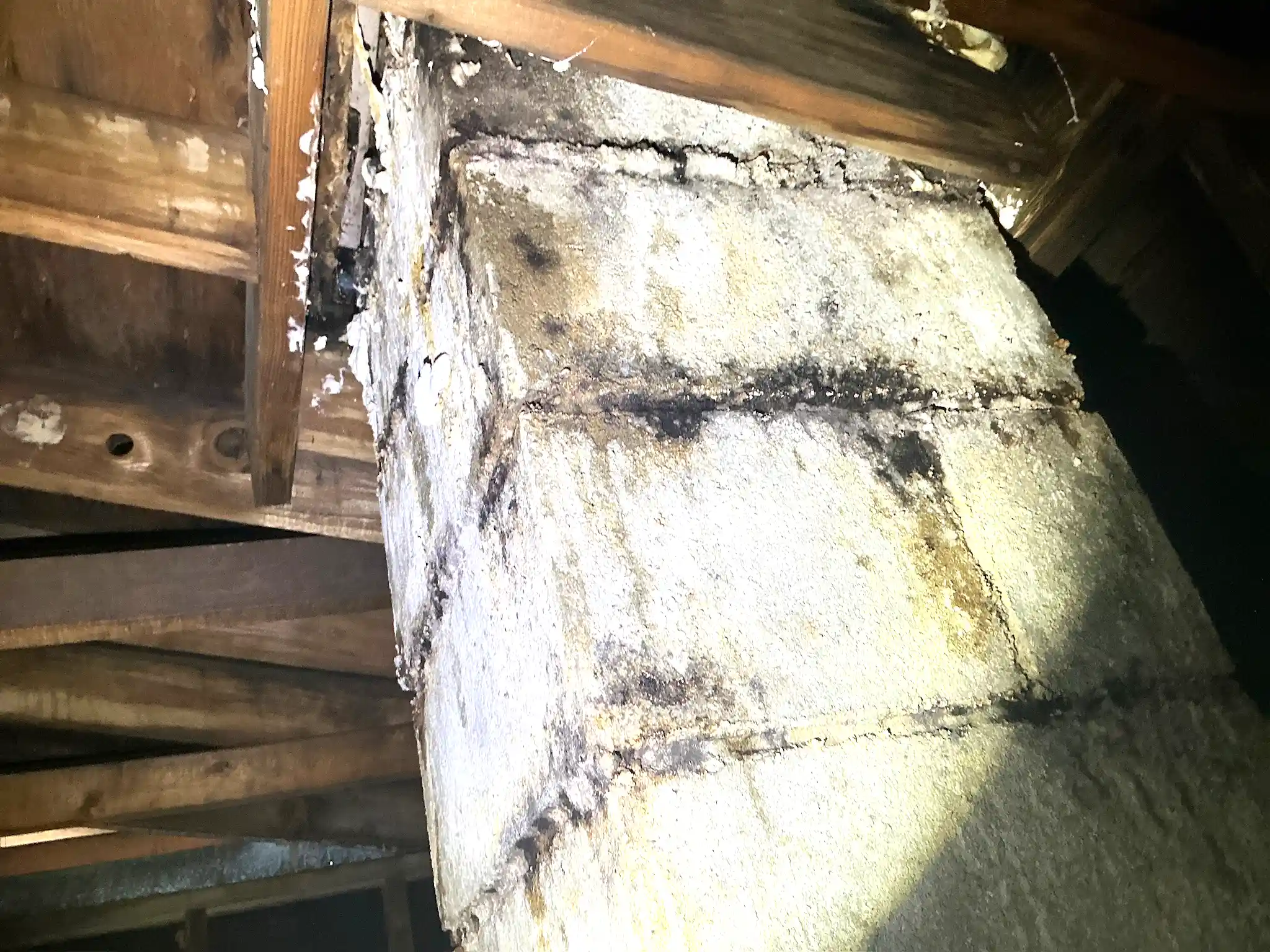 Mold found during a commercial mold inspection in Westlake.