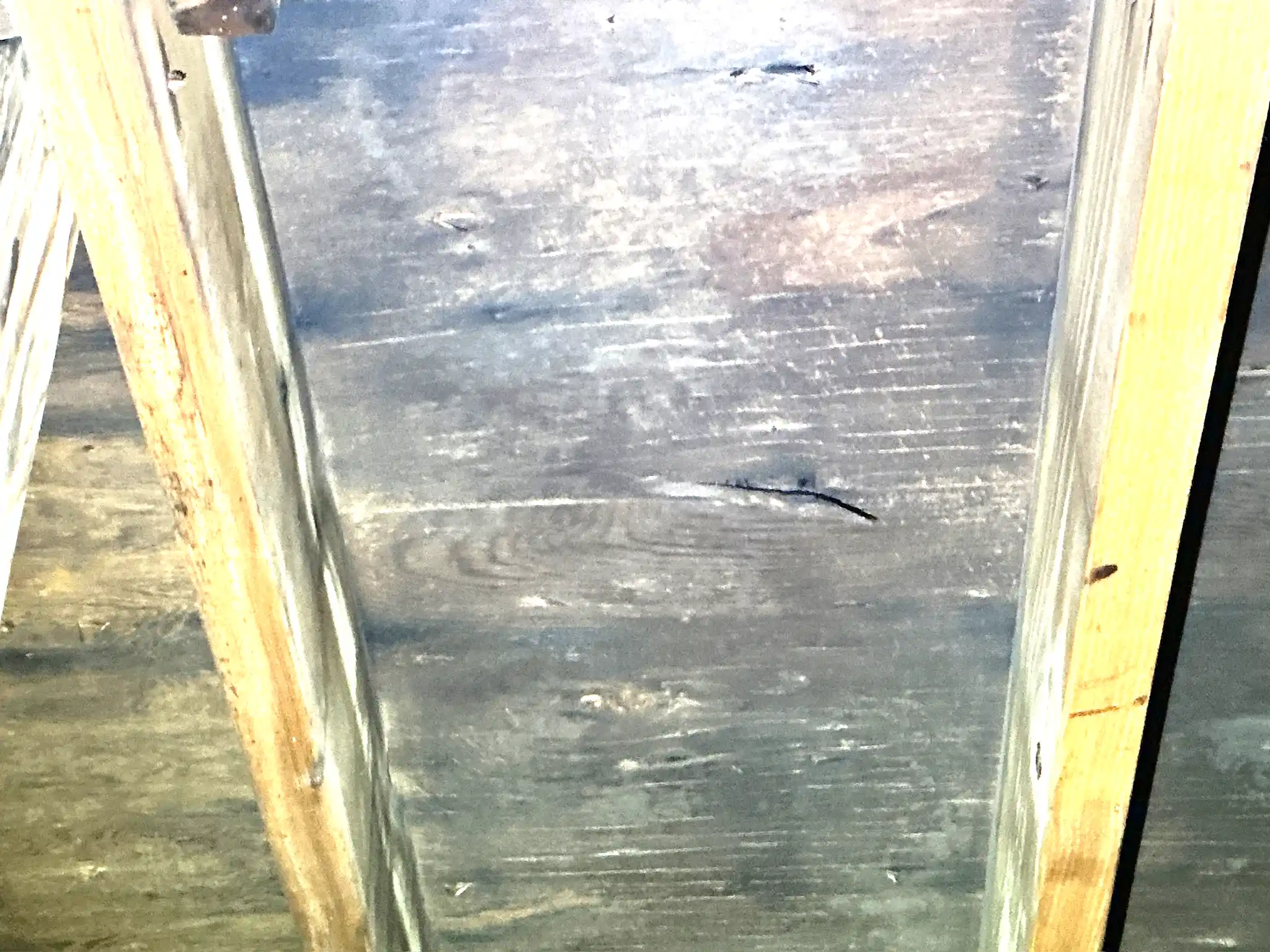 Look at what our mold inspector found in Wickliffe..