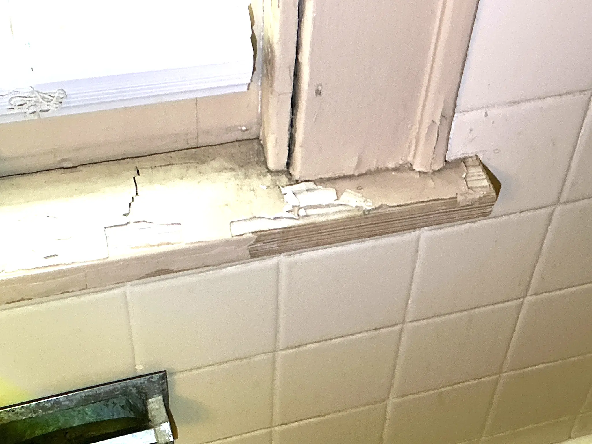 Our mold inspector found this surface mold in Wickliffe.