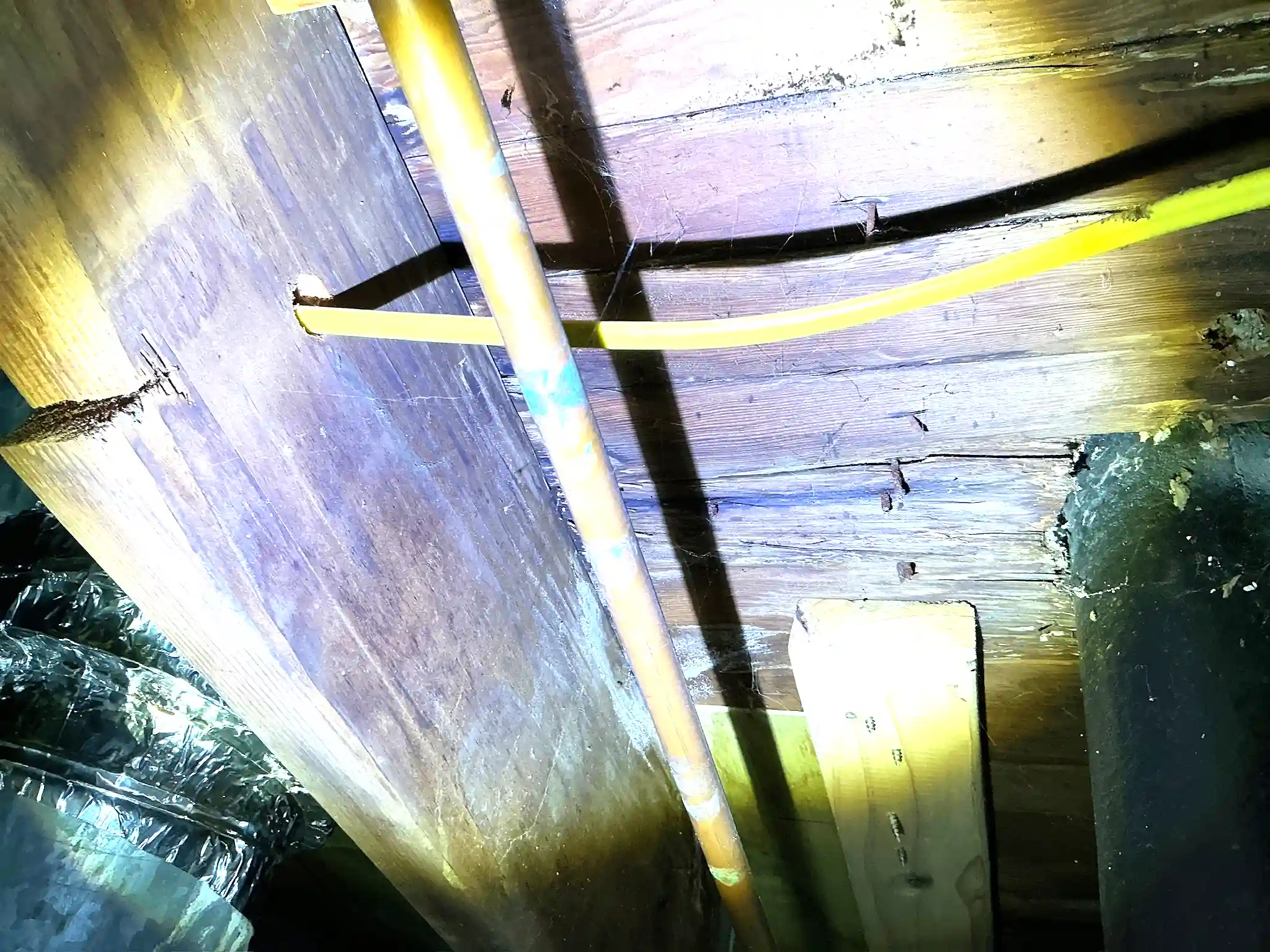 Mold found during a commercial mold inspection in Wickliffe.