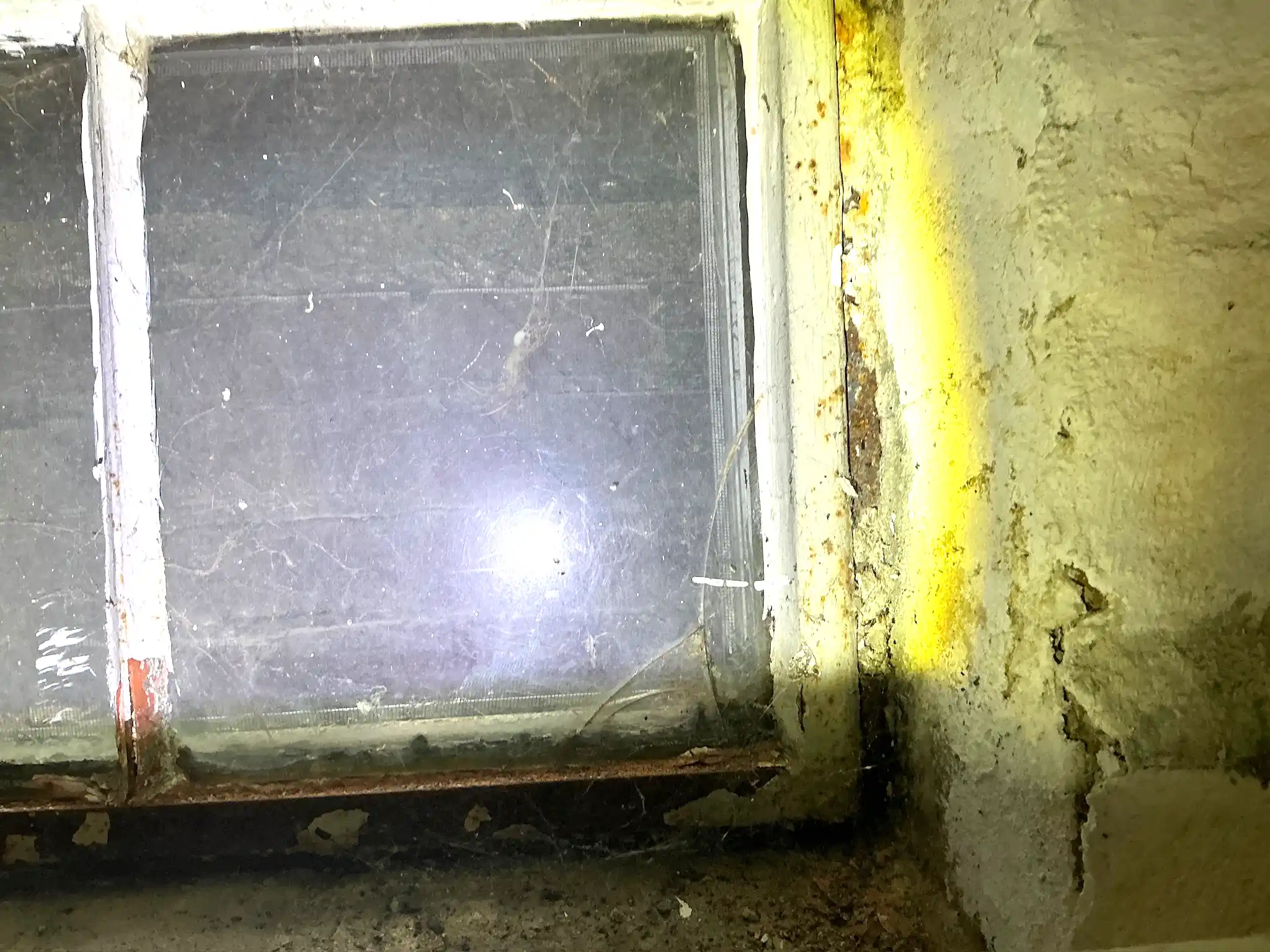 Look at what our mold inspector found in Willoughby Hills..