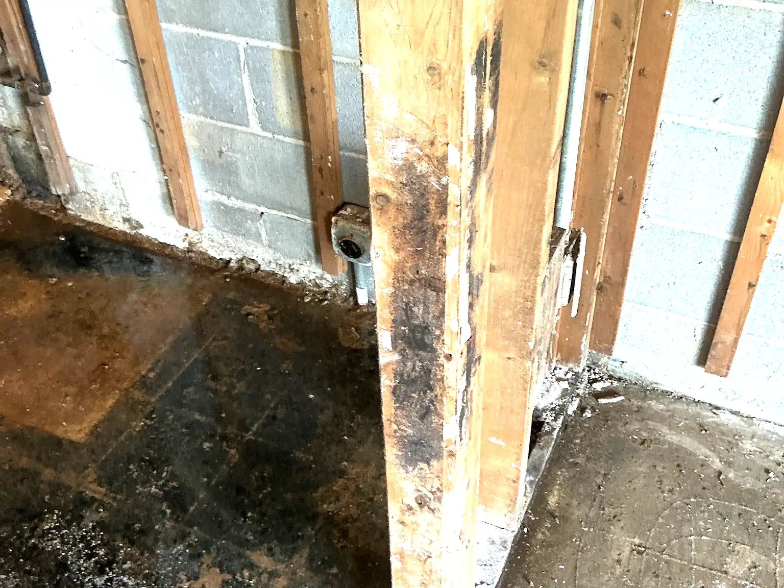 Mold inspection in Willoughby Hills.