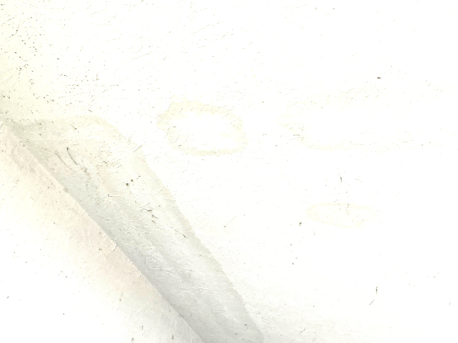Mold found during a home inspection in Willoughby Hills.