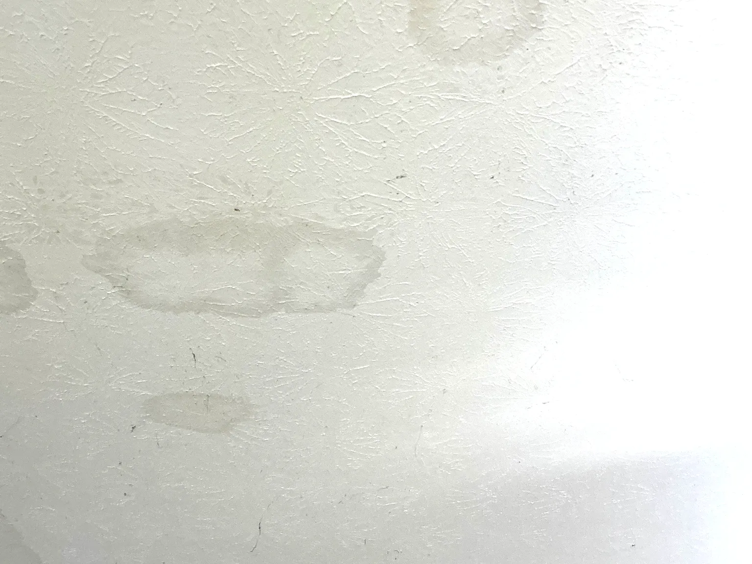Mold found during a commercial mold inspection in Willoughby Hills.