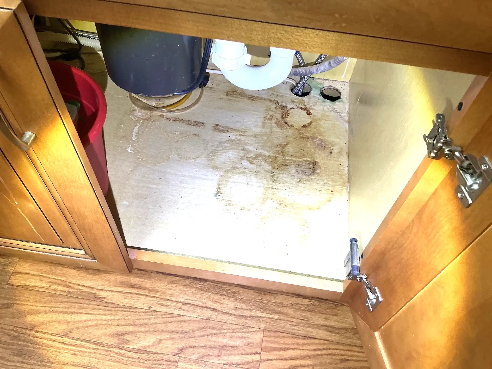 Mold found during a home inspection in Willoughby.