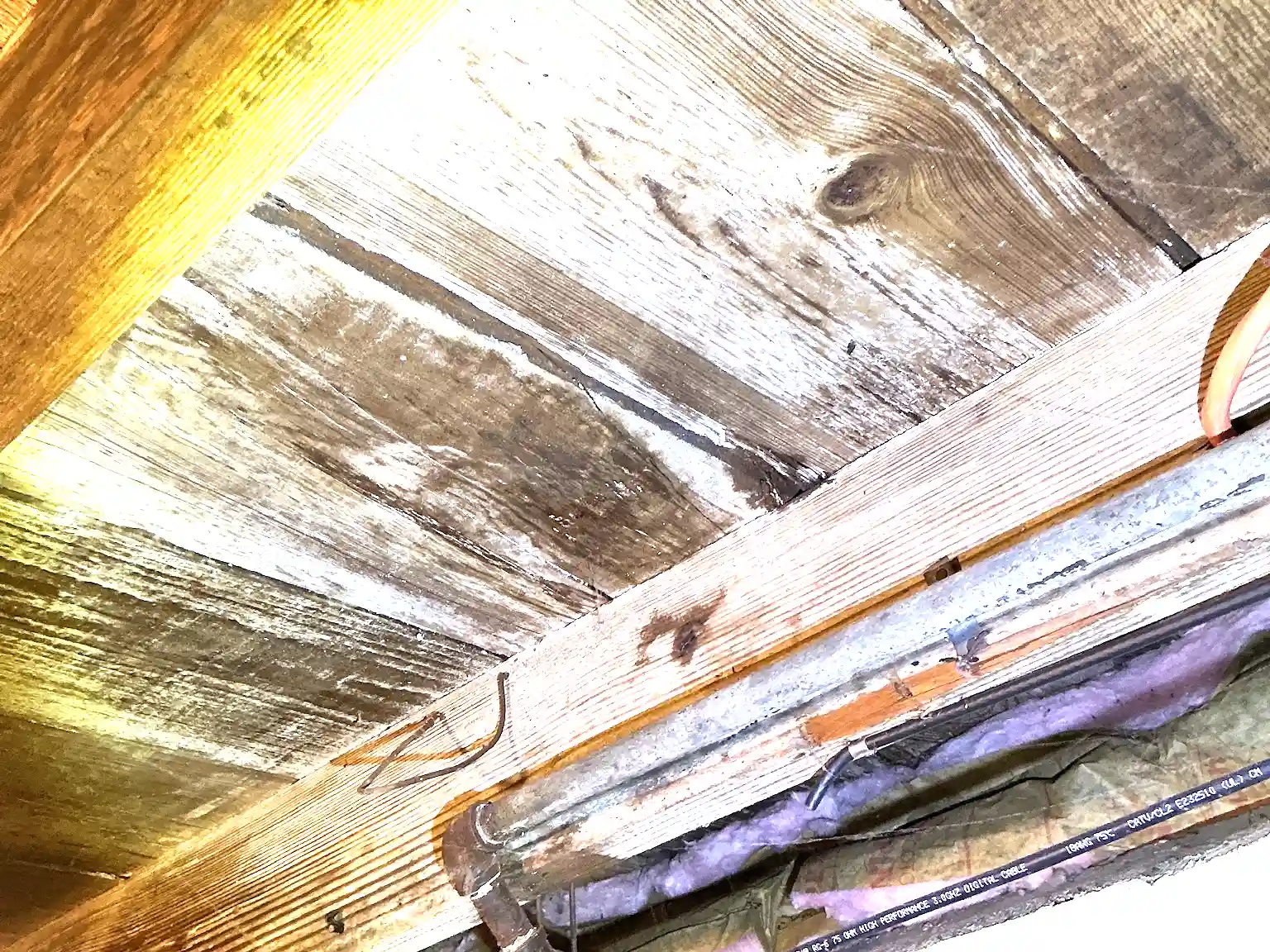 Mold found on a surface during an inspection in Willowick.