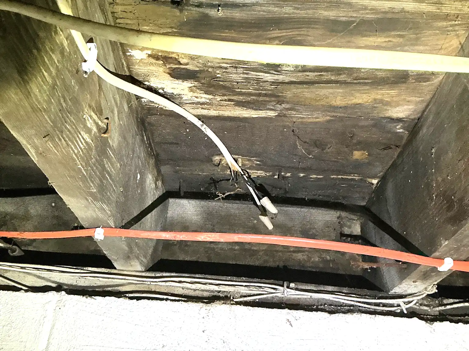 Mold inspection in Willowick.
