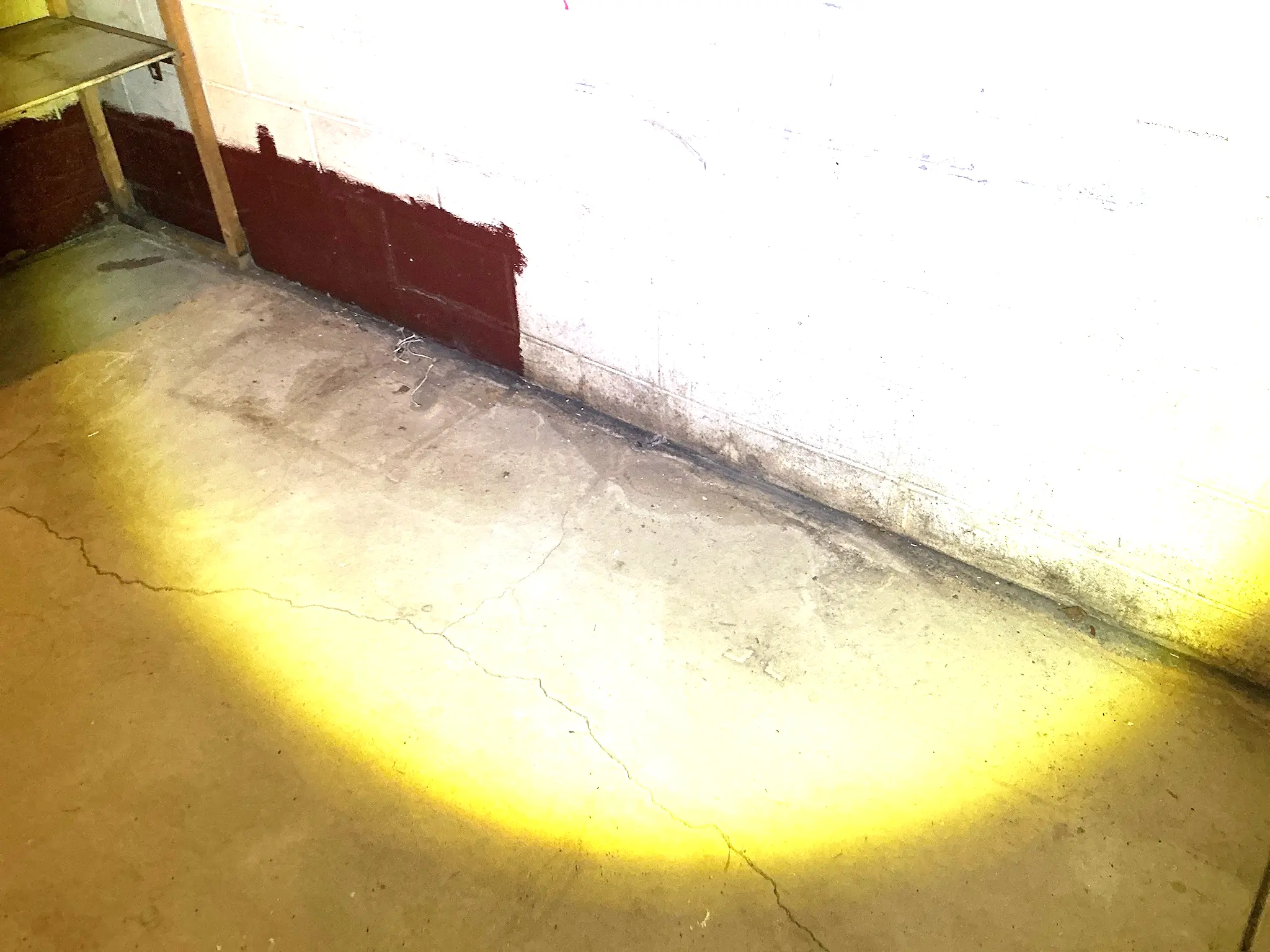 Mold found during a commercial mold inspection in Willowick.