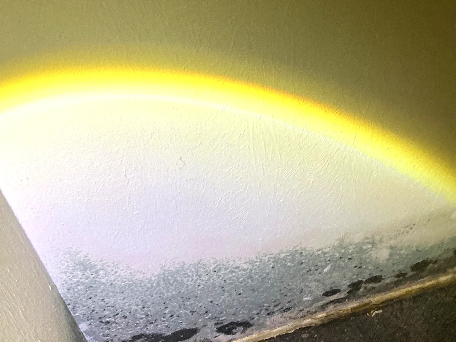 Mold inspection in Woodlawn.
