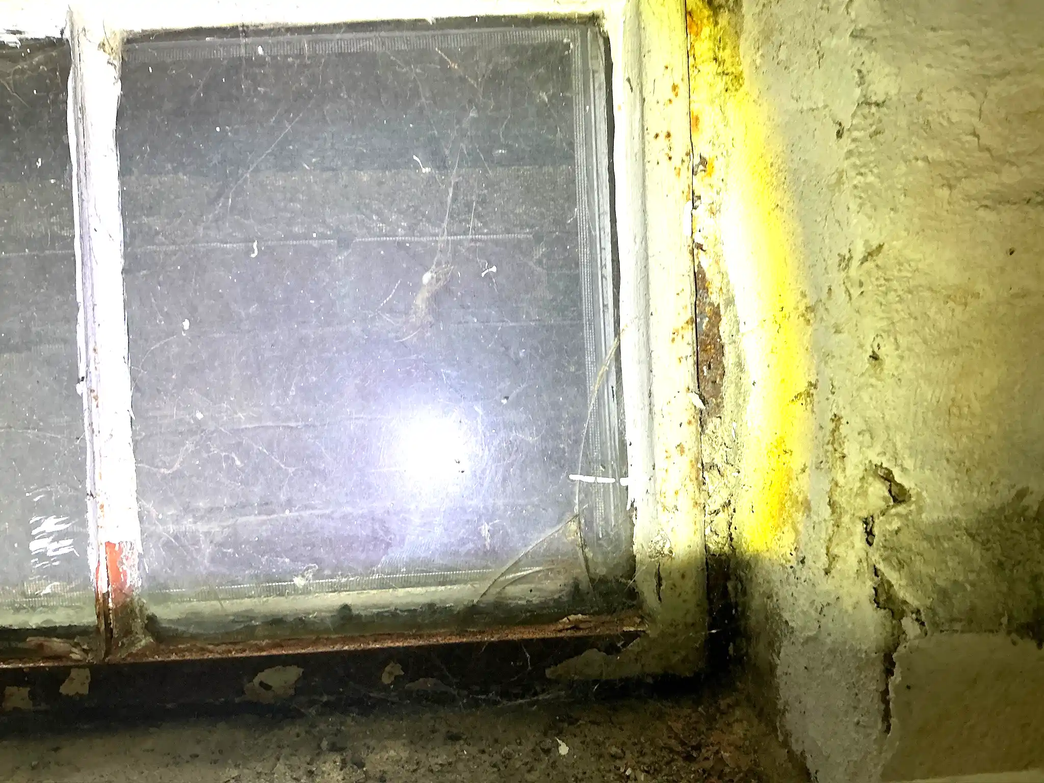 Mold found during a home inspection in Woodlawn.