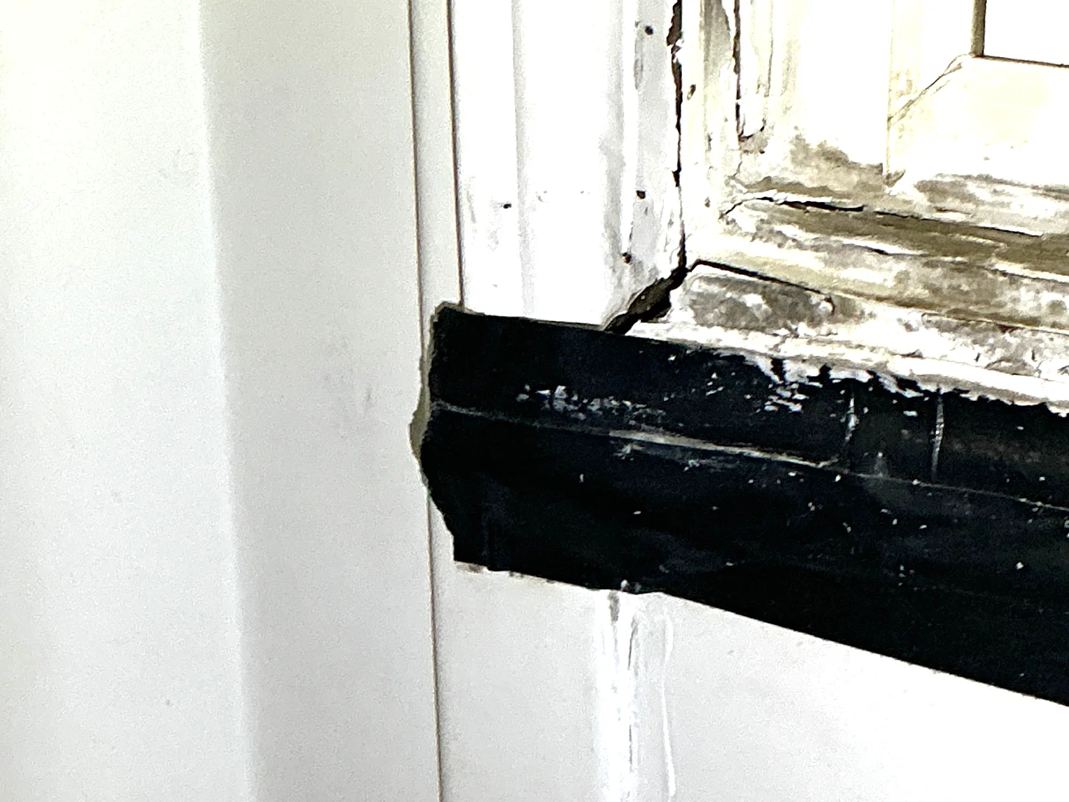 Mold found during a commercial mold inspection in Woodlawn.