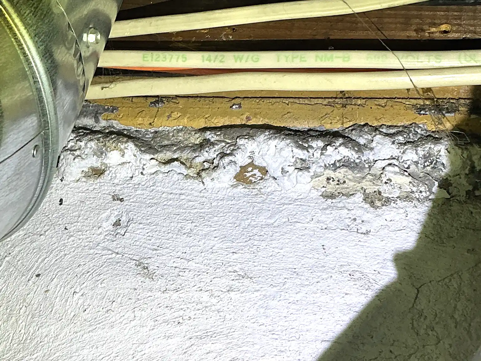 Mold inspection in Youngstown.