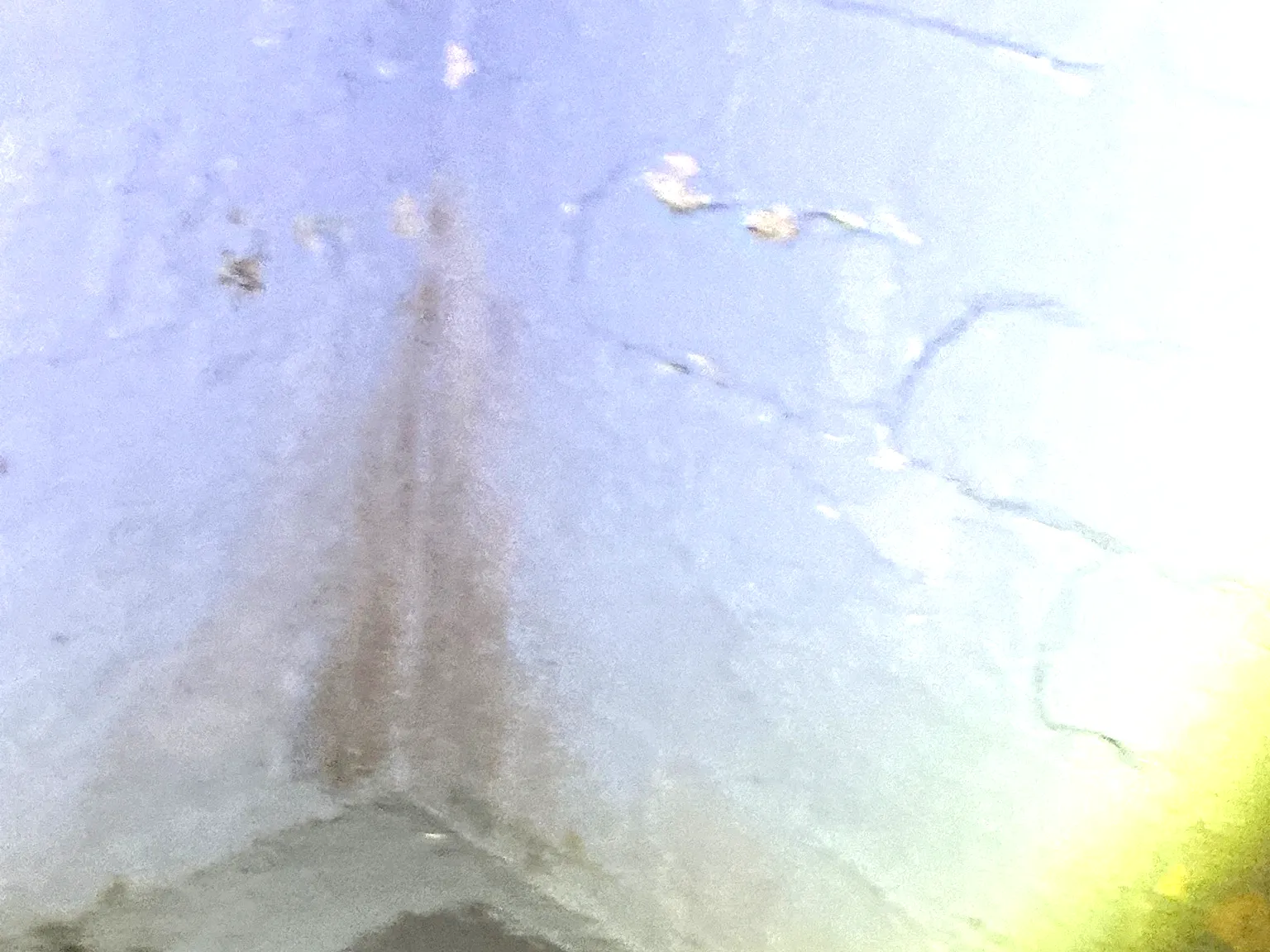 Mold found during a home inspection in Youngstown.