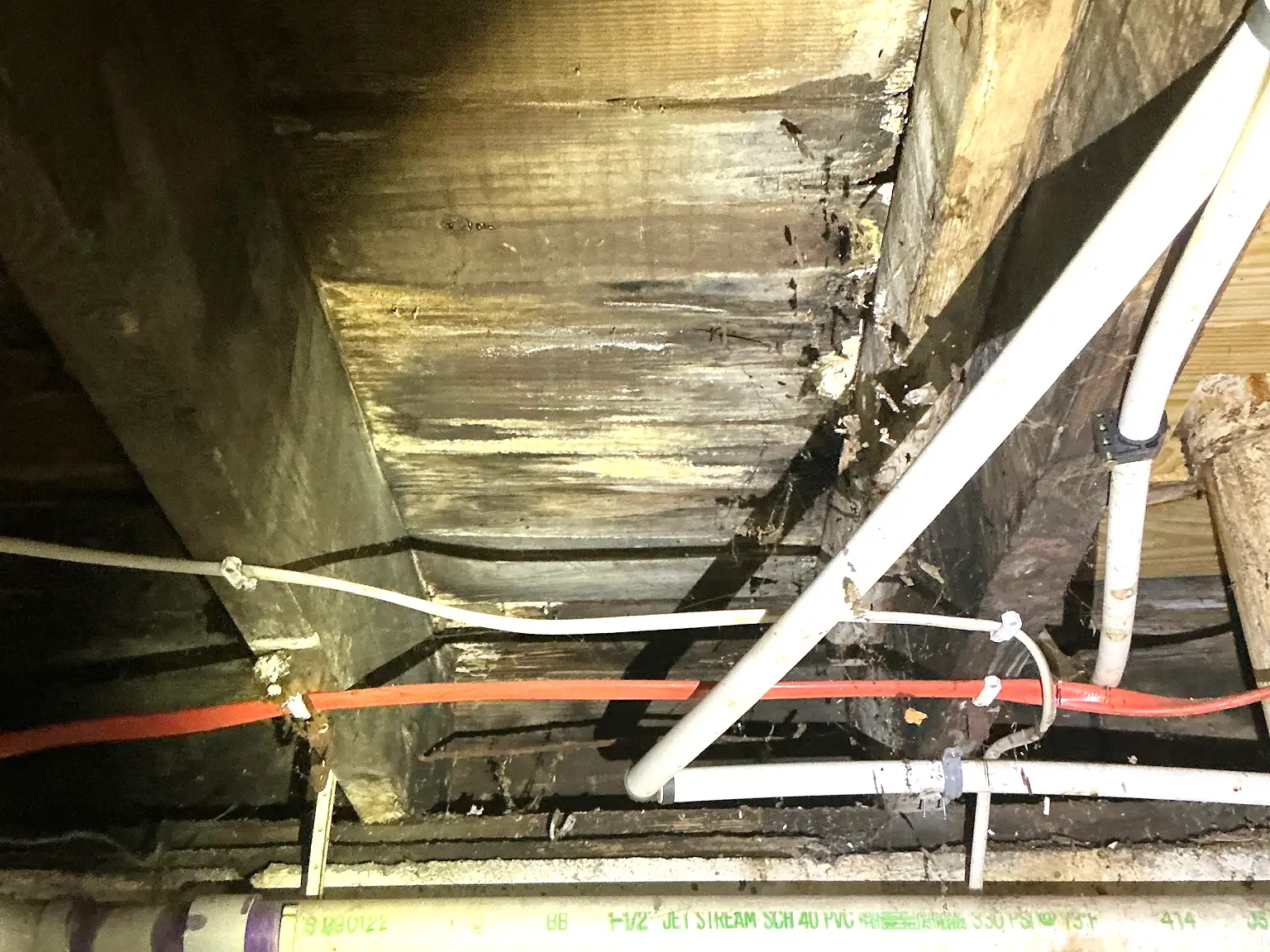 Mold found during a commercial mold inspection in Youngstown.