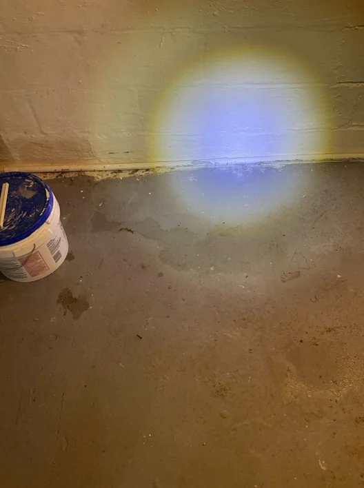 A detailed review revealed Active water intrusion in Lyndhurst observed during a home inspection.