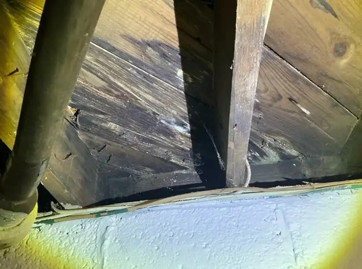 Mold on basement subfloor in Maple Heights was found during a home inspection.