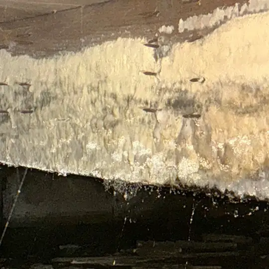 Evidence of mold growth in a home in Cuyahoga Falls.