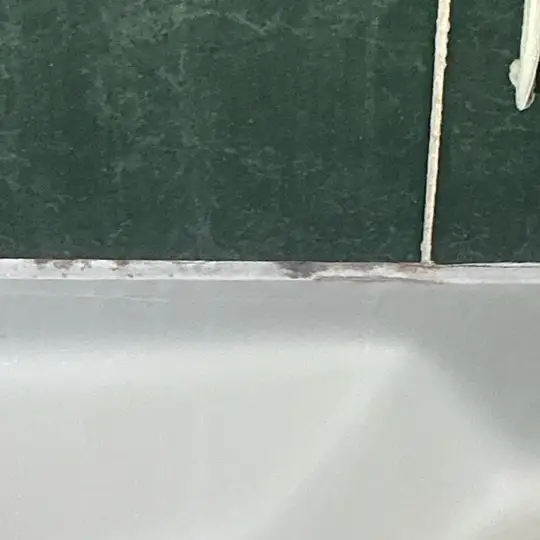 Visible mold growth on bathroom walls found during a mold inspection in Cleveland.