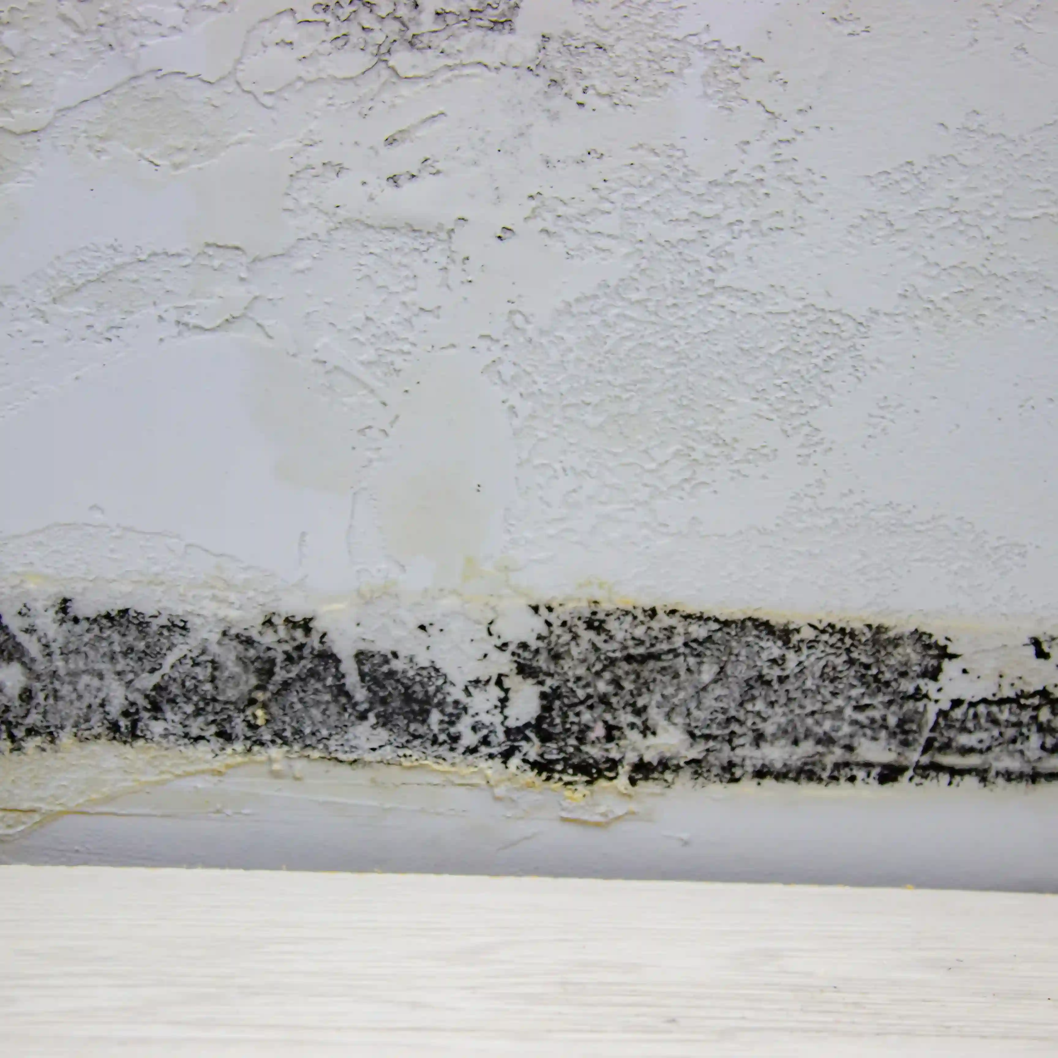 Water damage and mold on kitchen ceiling in Tallmadge.