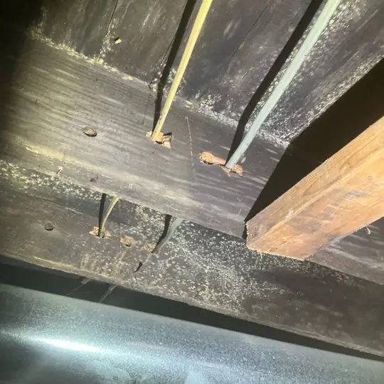 Severe mold damage on subfloor and joists in Stow.