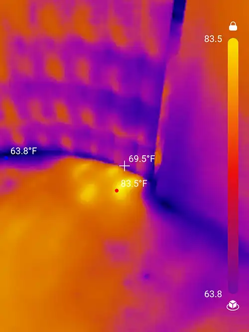 Floorboard Termite Nest